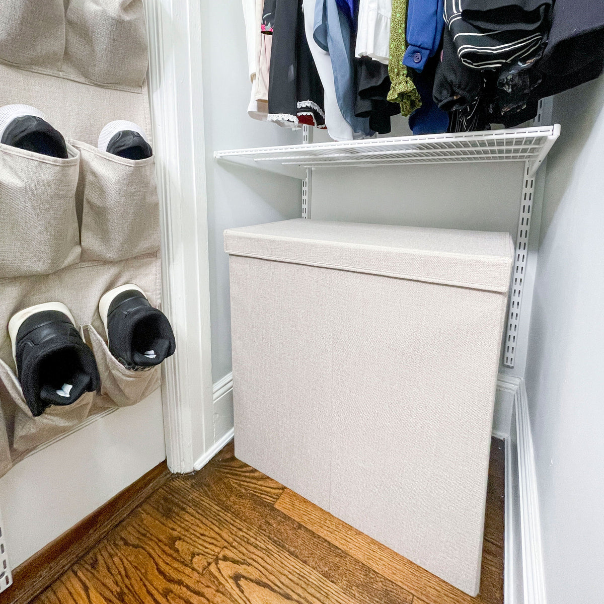 Divided Laundry Hamper with Removable Lid